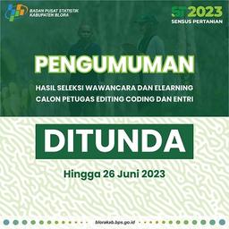 Pengumuman Calon Petugas Editing Coding dan Entri ST2023 Ditunda