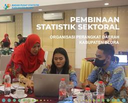 Pembinaan Kegiatan Statistik Sektoral