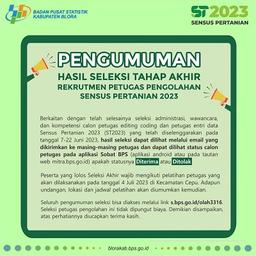 Pengumuman Hasil Seleksi E-Learning Calon Petugas Editing Coding dan Entri ST2023