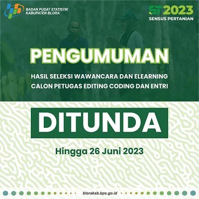 Pengumuman Calon Petugas Editing Coding dan Entri ST2023 Ditunda