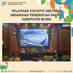 Pelatihan Statistik Sektoral OPD Kabupaten Blora